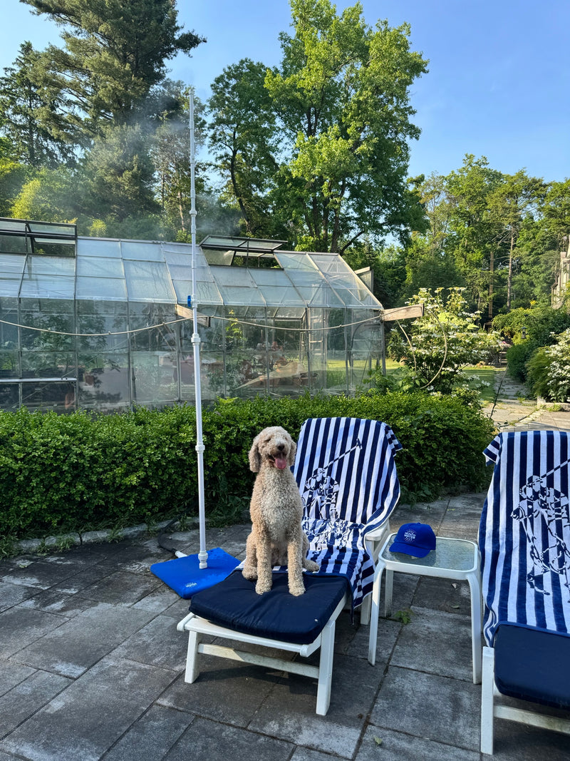 Mr Patio Mister cooling a real backyard